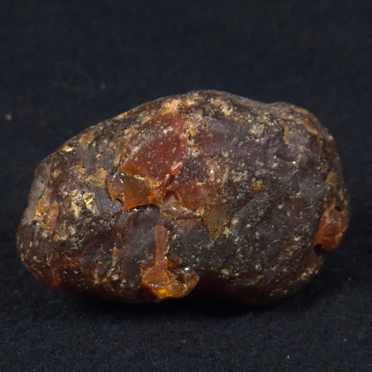 ROUGH AMBER, Australia YCA003