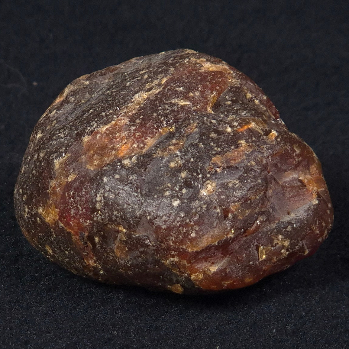 ROUGH AMBER, Australia YCA003