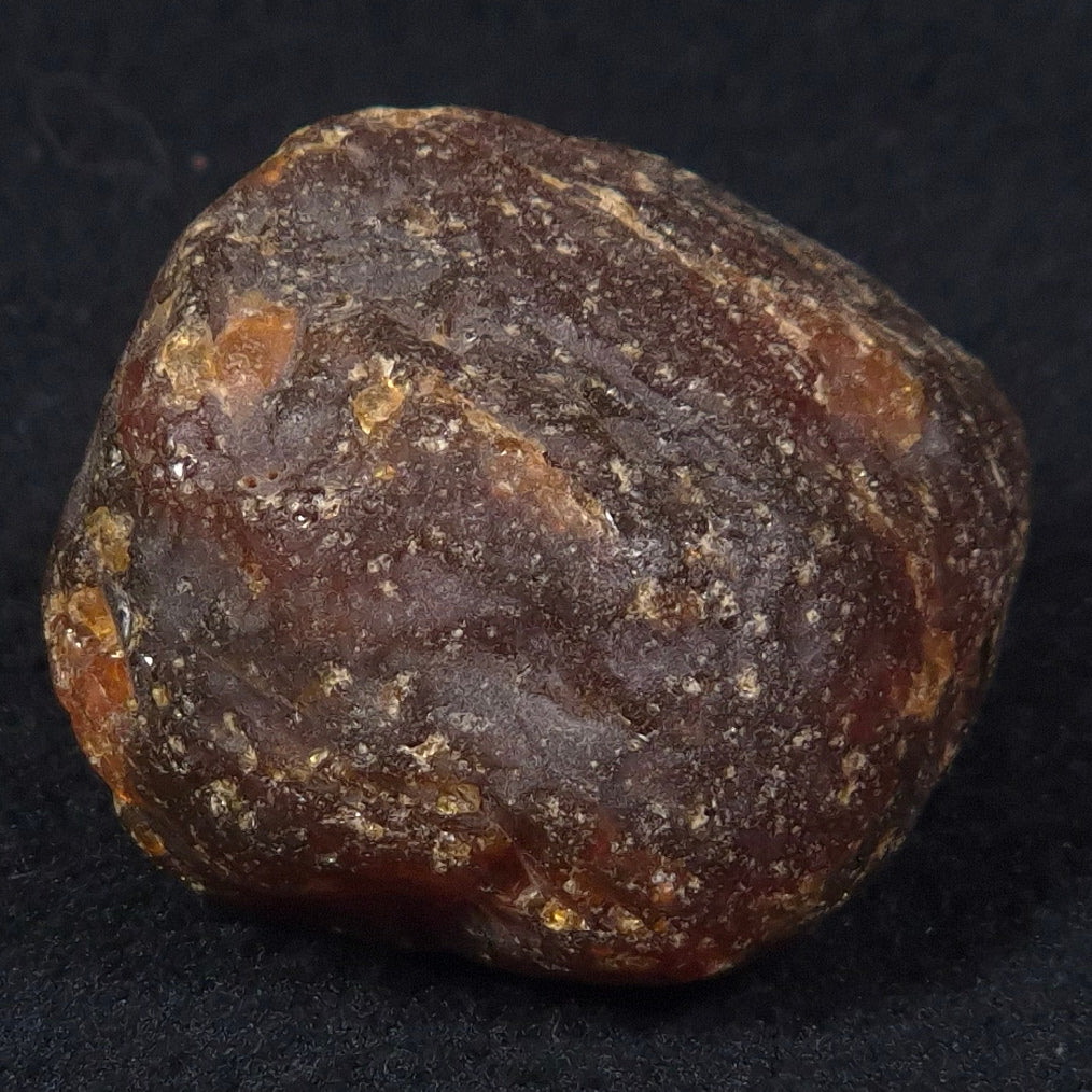 ROUGH AMBER, Australia YCA003