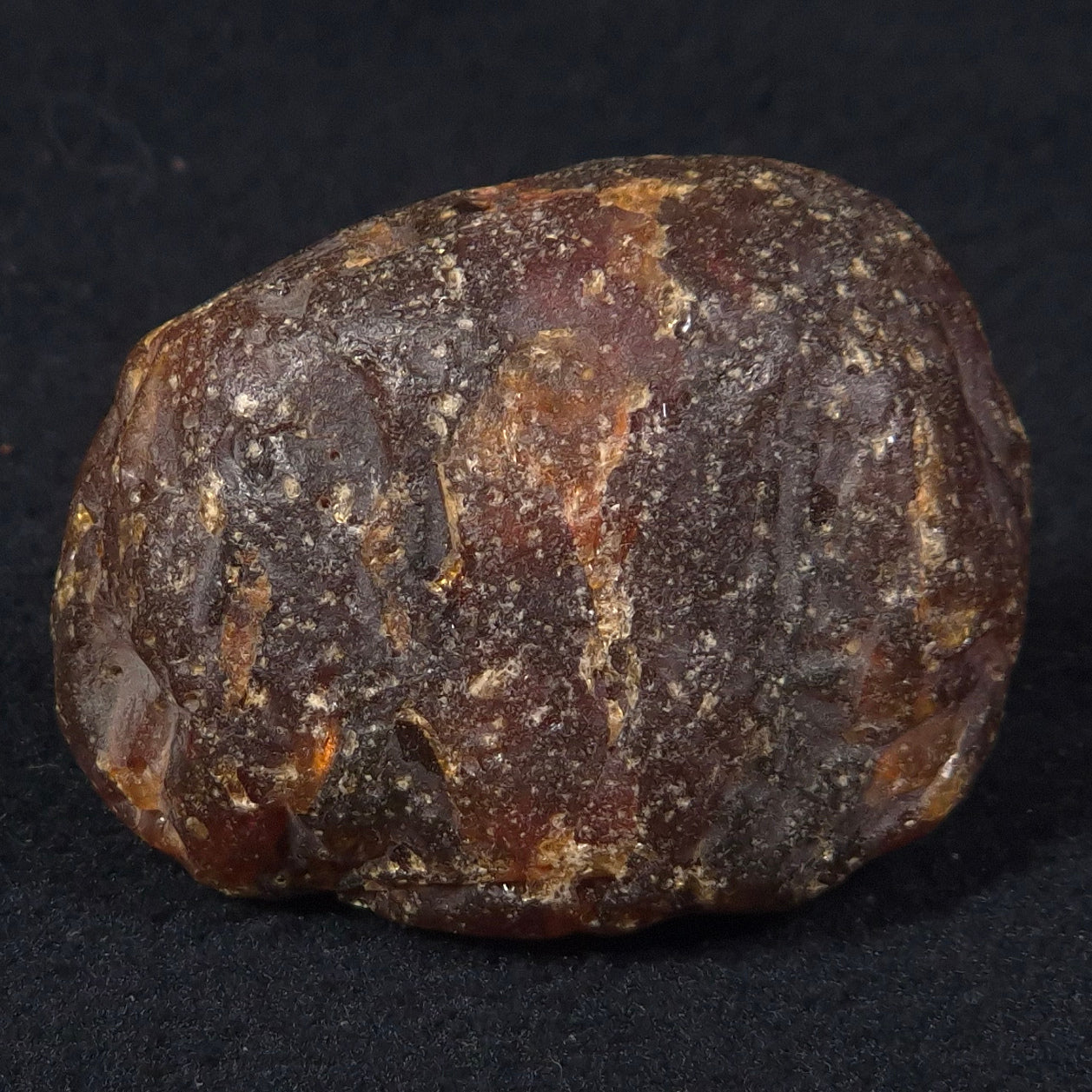 ROUGH AMBER, Australia YCA003