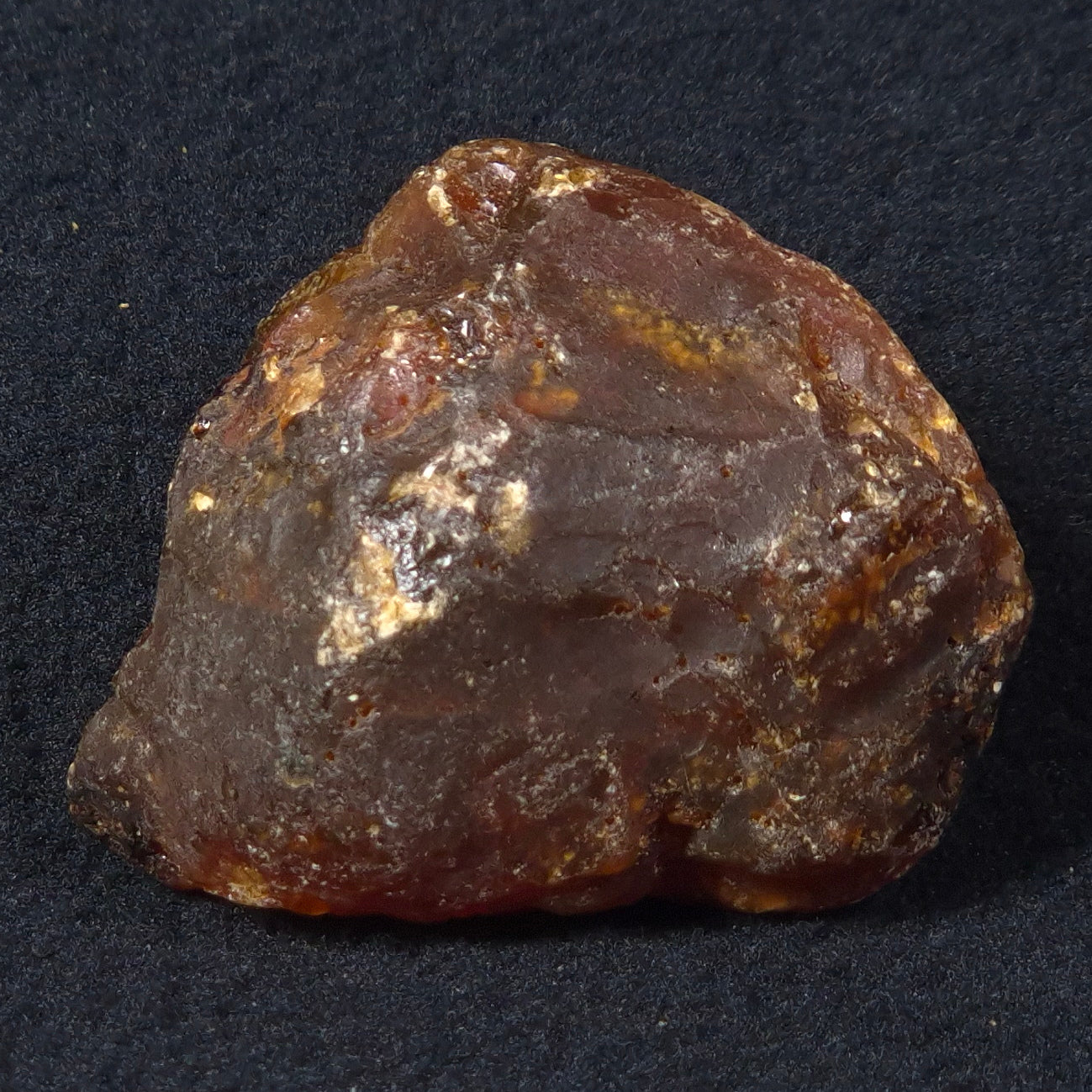 ROUGH AMBER, Australia YCA004
