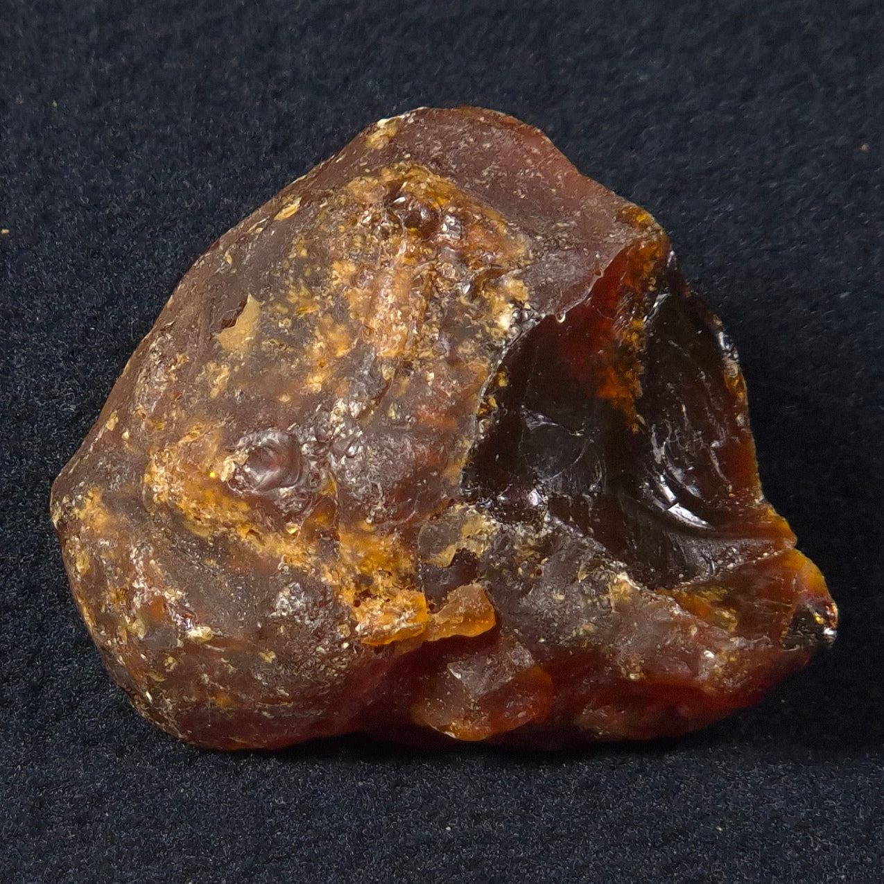 ROUGH AMBER, Australia YCA004