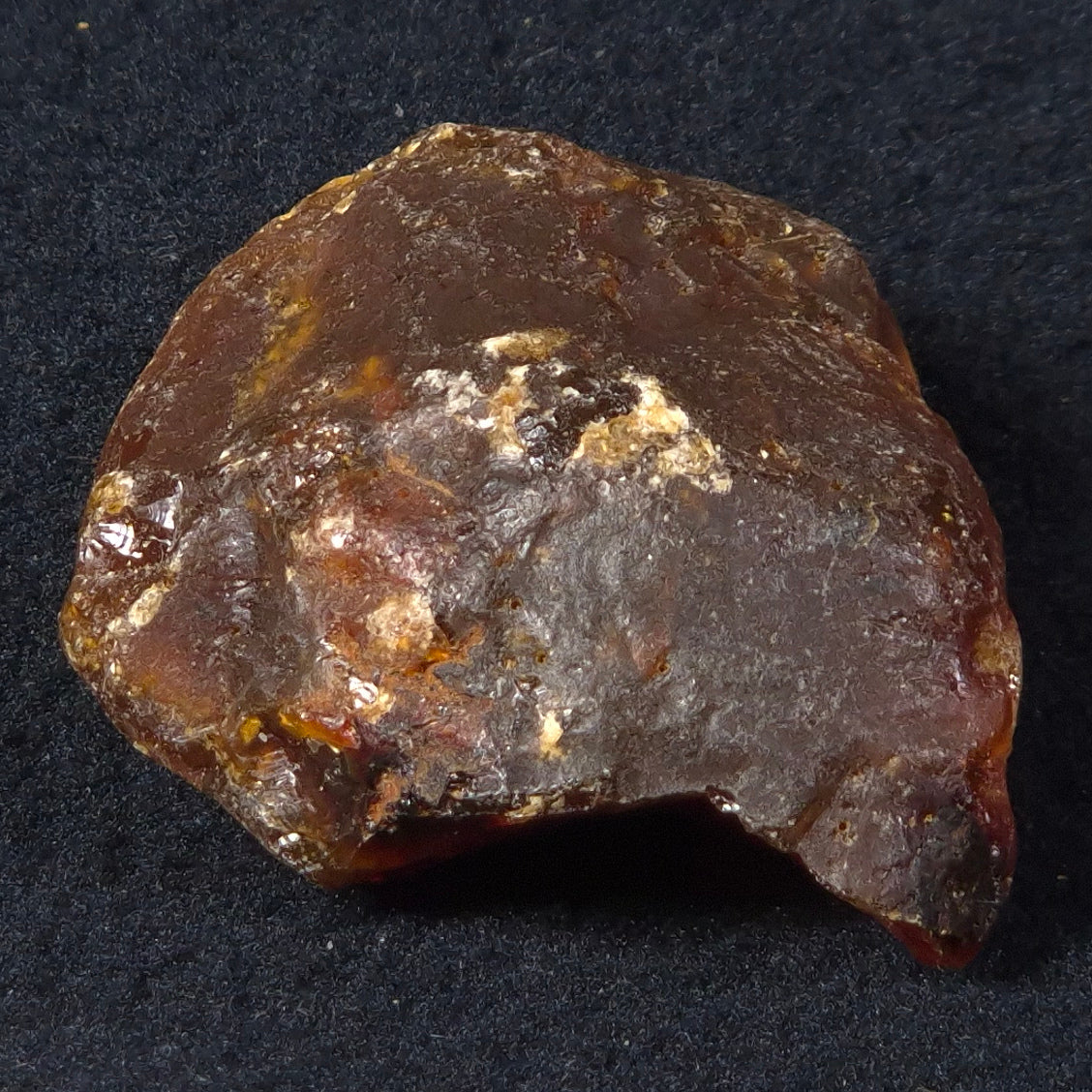ROUGH AMBER, Australia YCA004