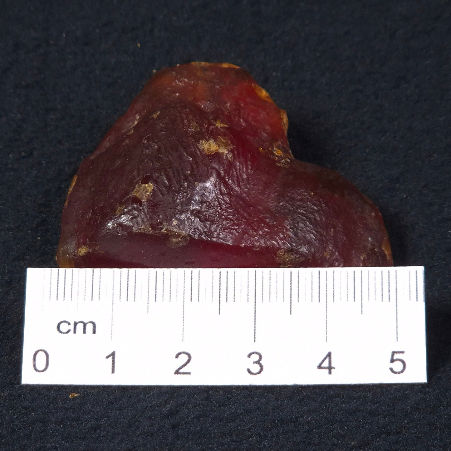 ROUGH AMBER, Australia YCA005