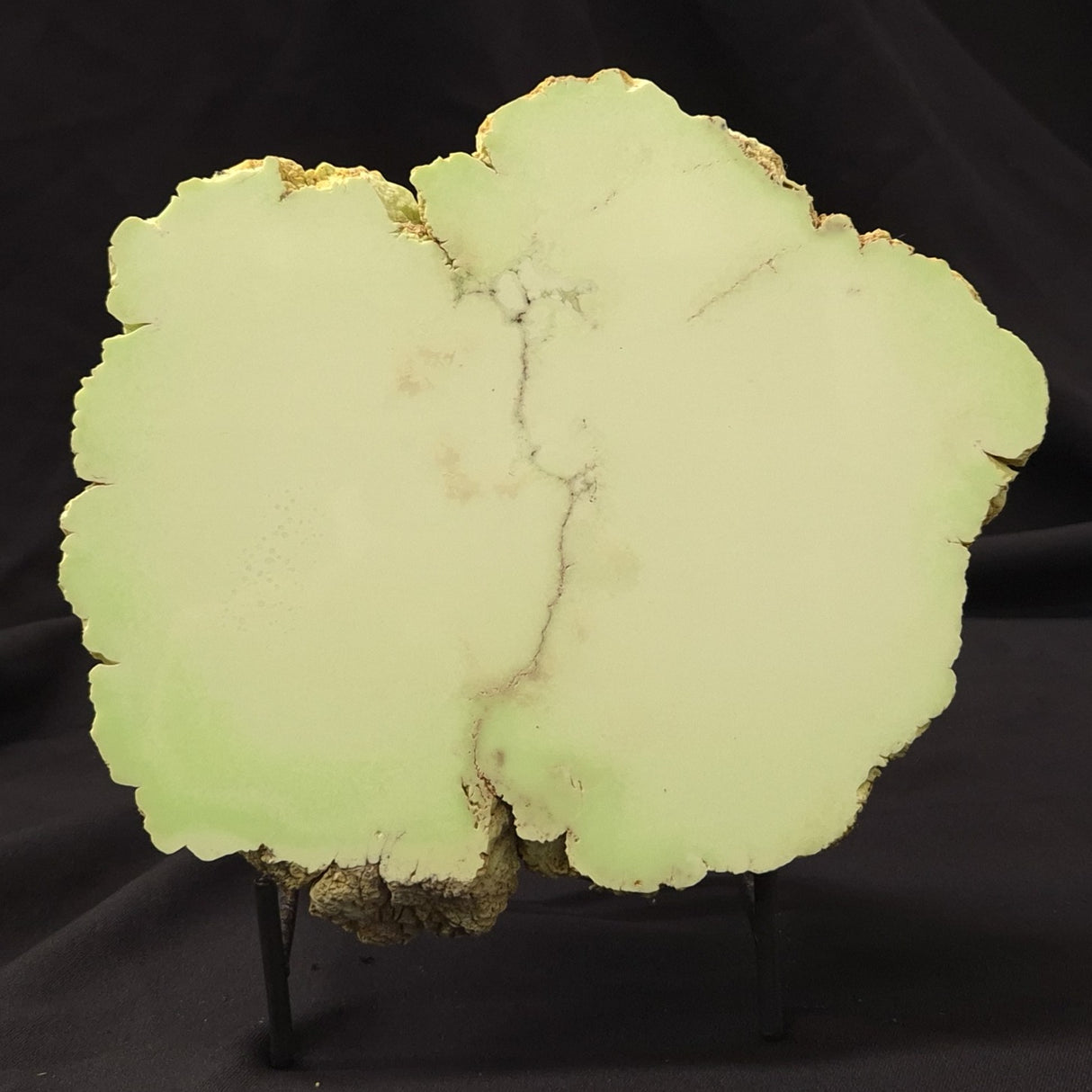NICKEL MAGNESITE (LEMON CHRYSOPRASE), Australia YLC003