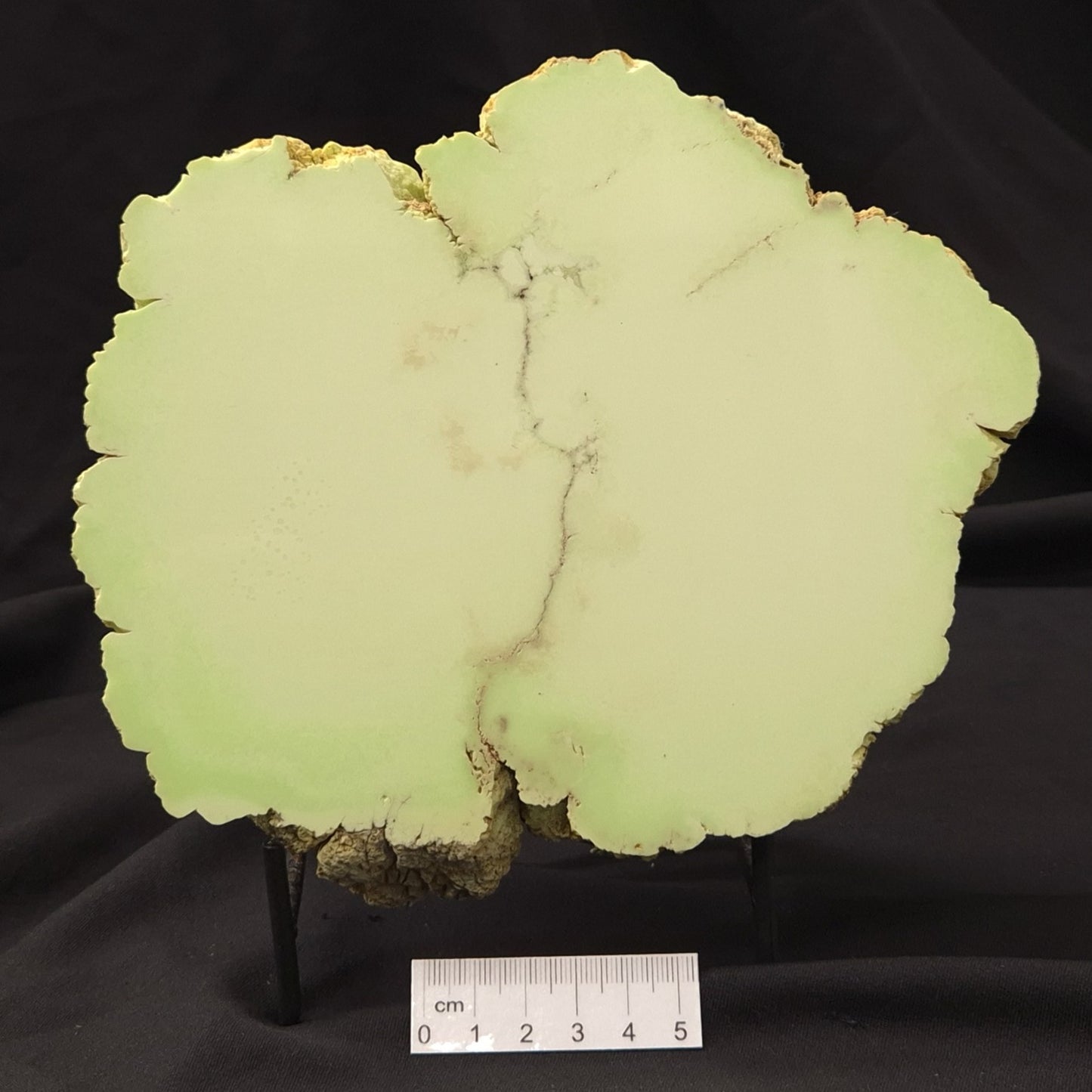 NICKEL MAGNESITE (LEMON CHRYSOPRASE), Australia YLC003