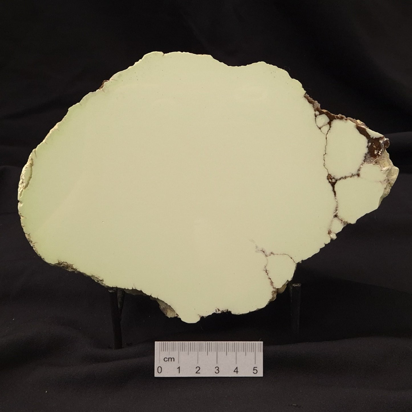 NICKEL MAGNESITE (LEMON CHRYSOPRASE), Australia YLC004