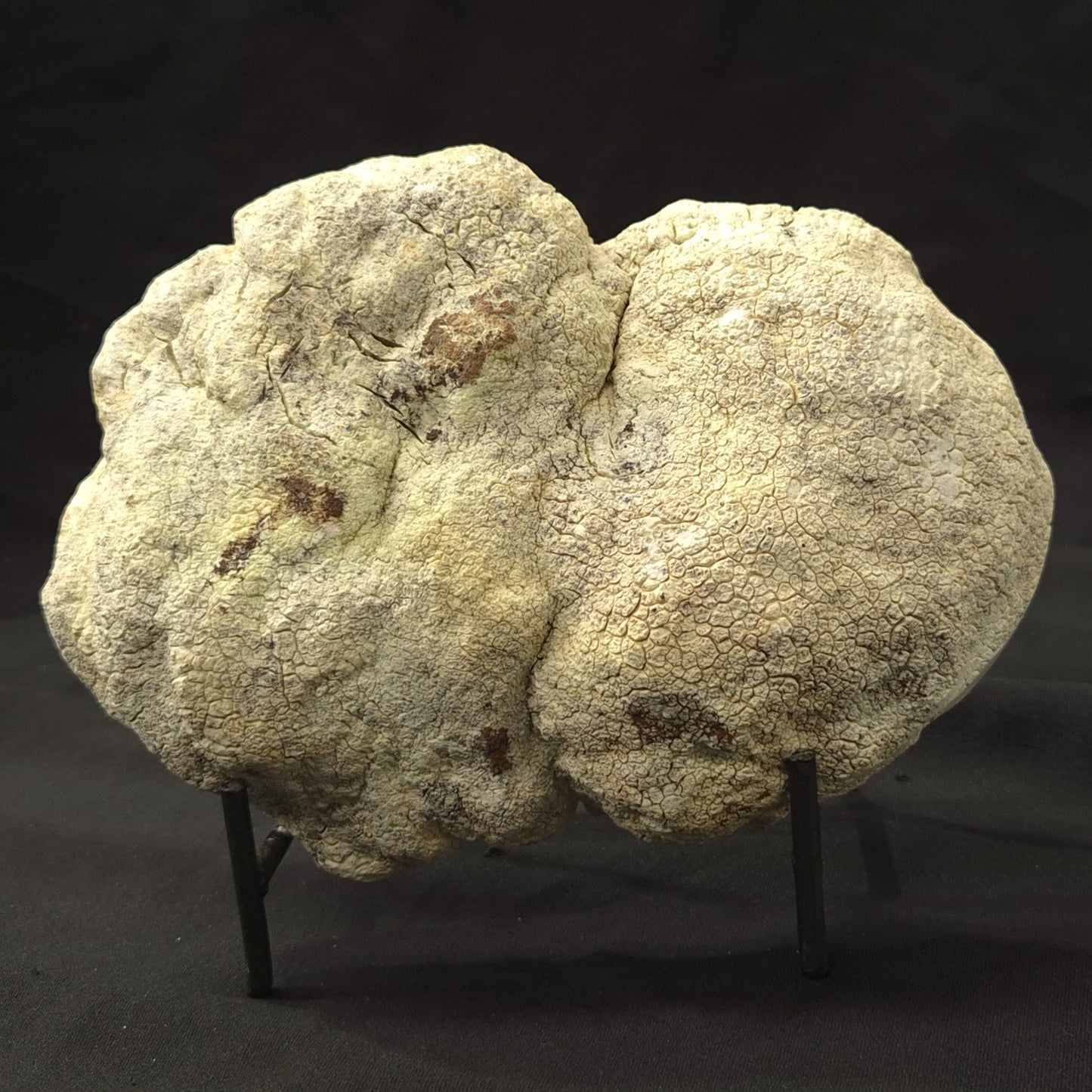 NICKEL MAGNESITE (LEMON CHRYSOPRASE), Australia YLC008