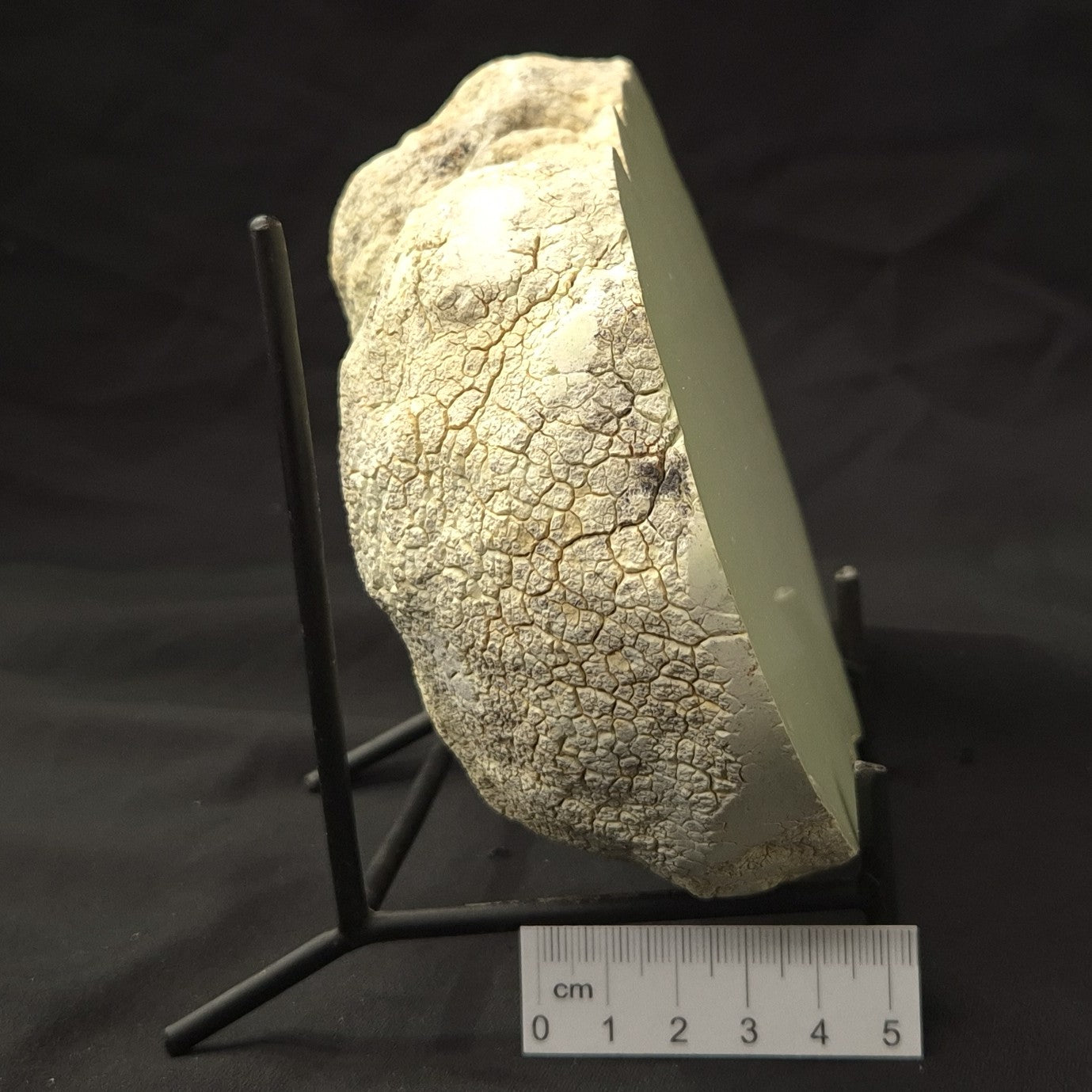 NICKEL MAGNESITE (LEMON CHRYSOPRASE), Australia YLC008