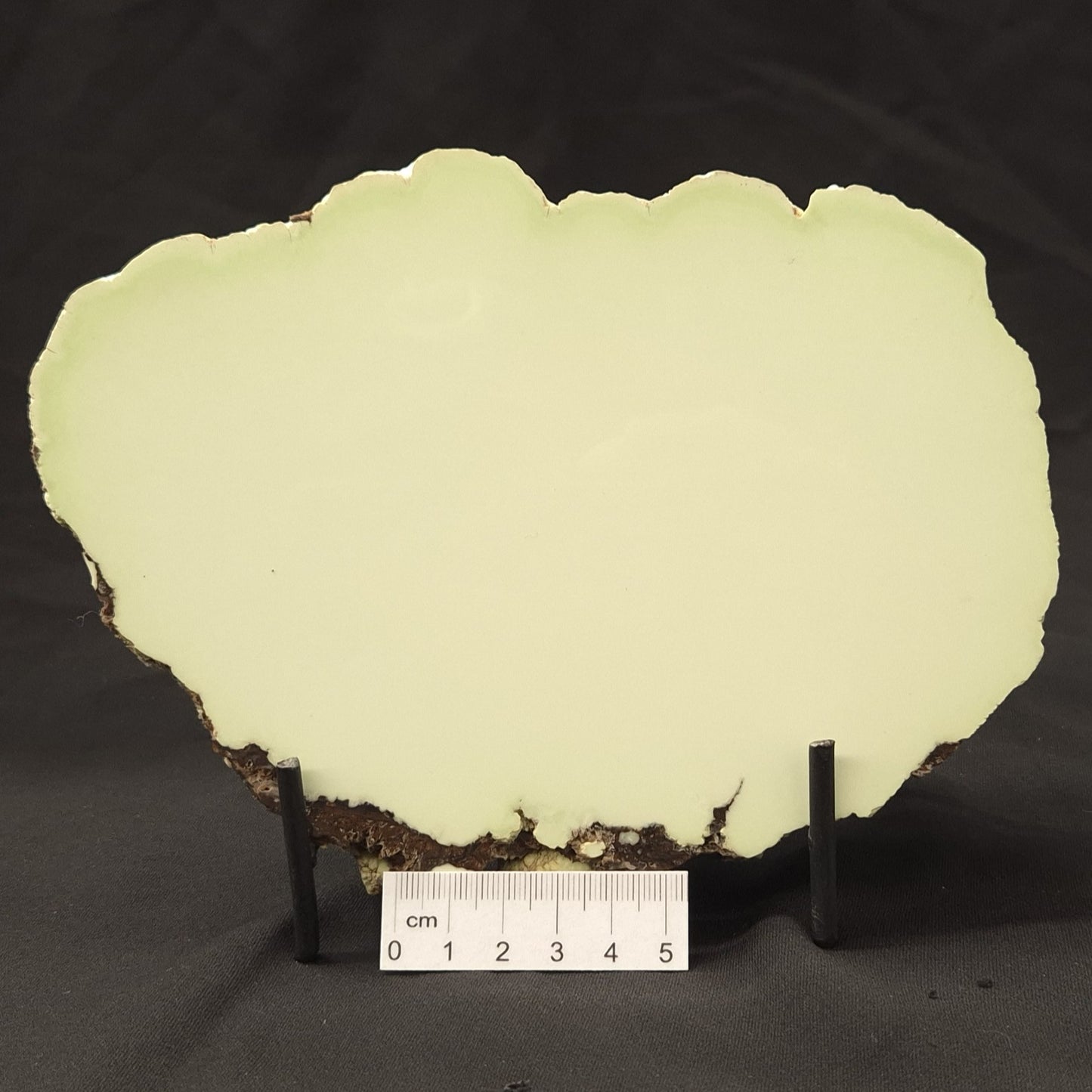 NICKEL MAGNESITE (LEMON CHRYSOPRASE), Australia YLC005