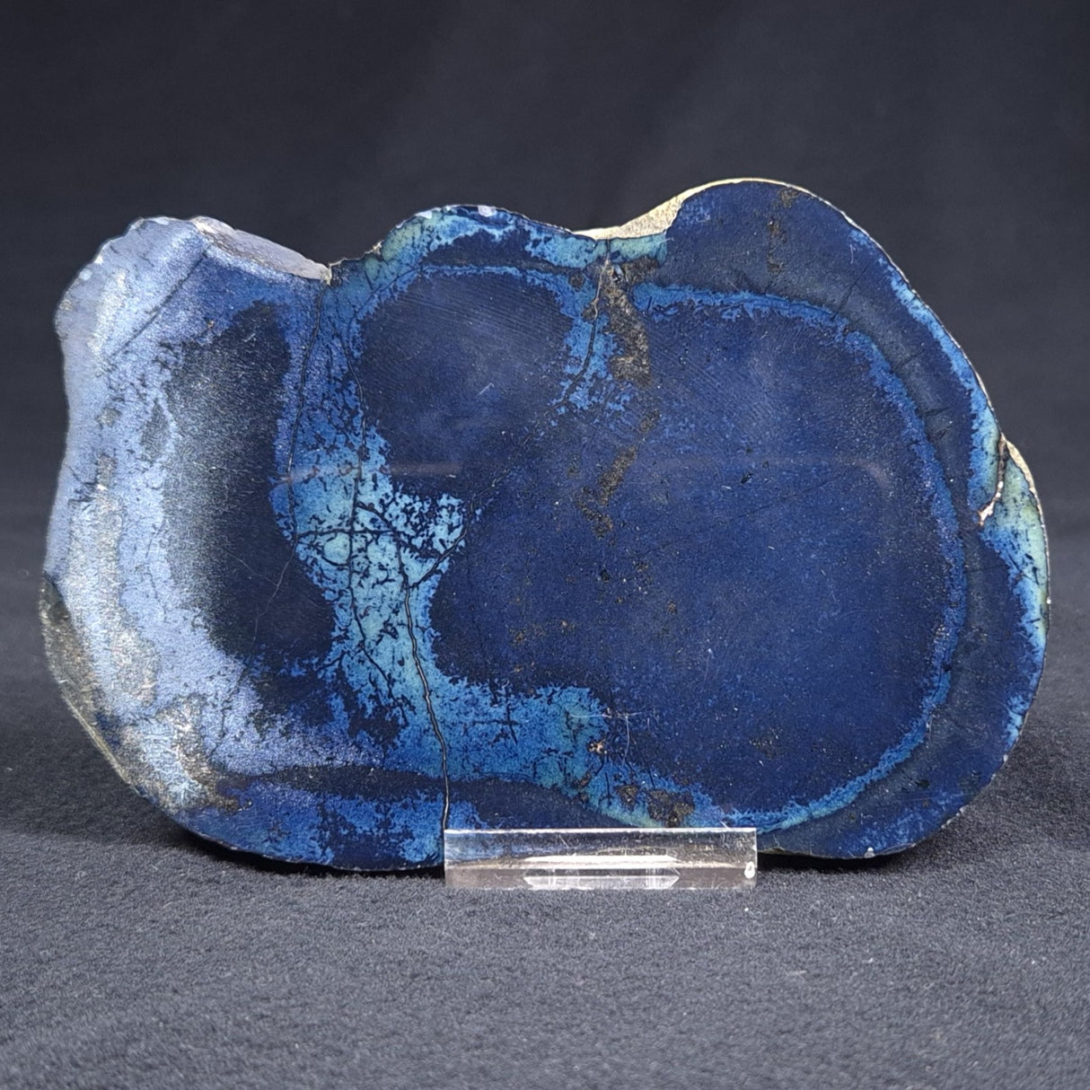 VIVIANITE NODULE, Australia XVI003