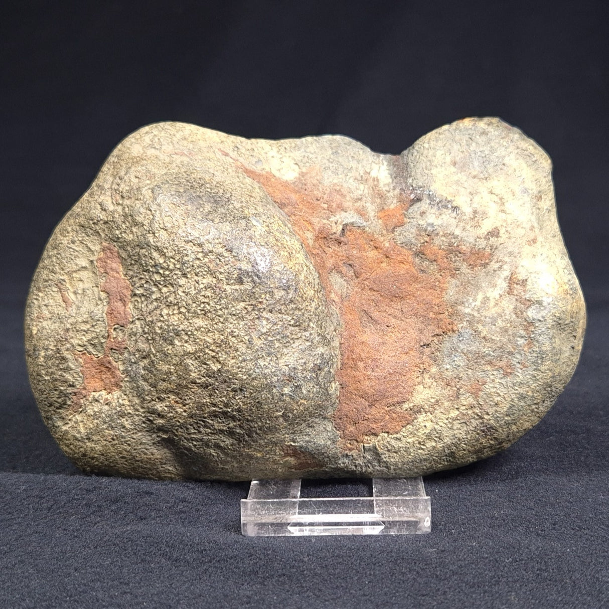 VIVIANITE NODULE, Australia XVI003