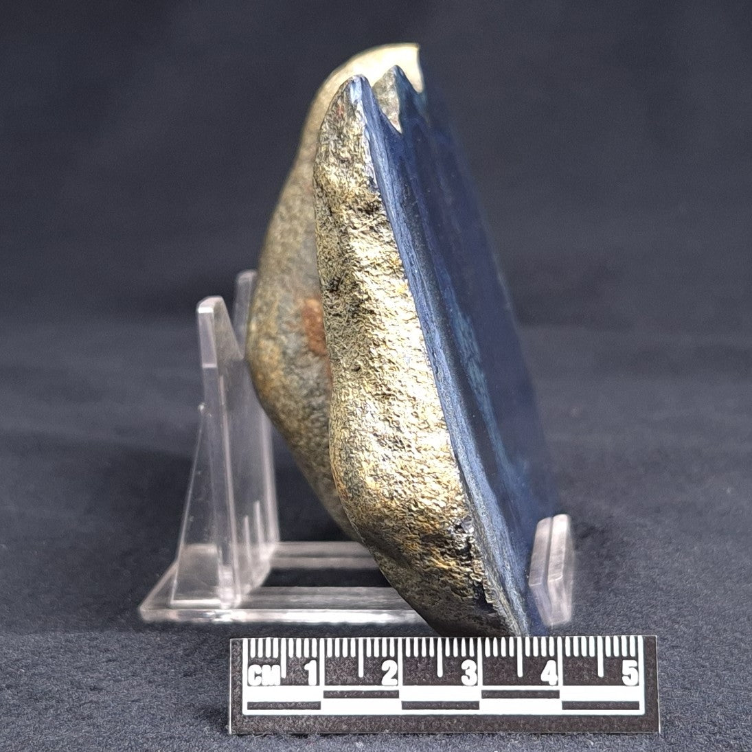 VIVIANITE NODULE, Australia XVI003