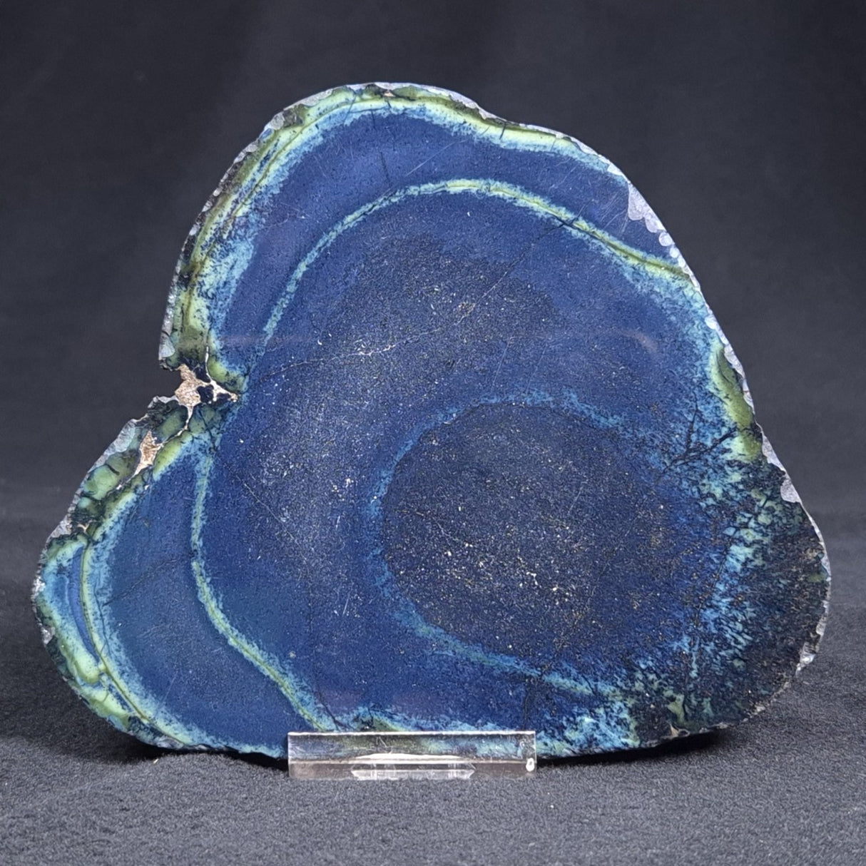 VIVIANITE NODULE, Australia XVI004