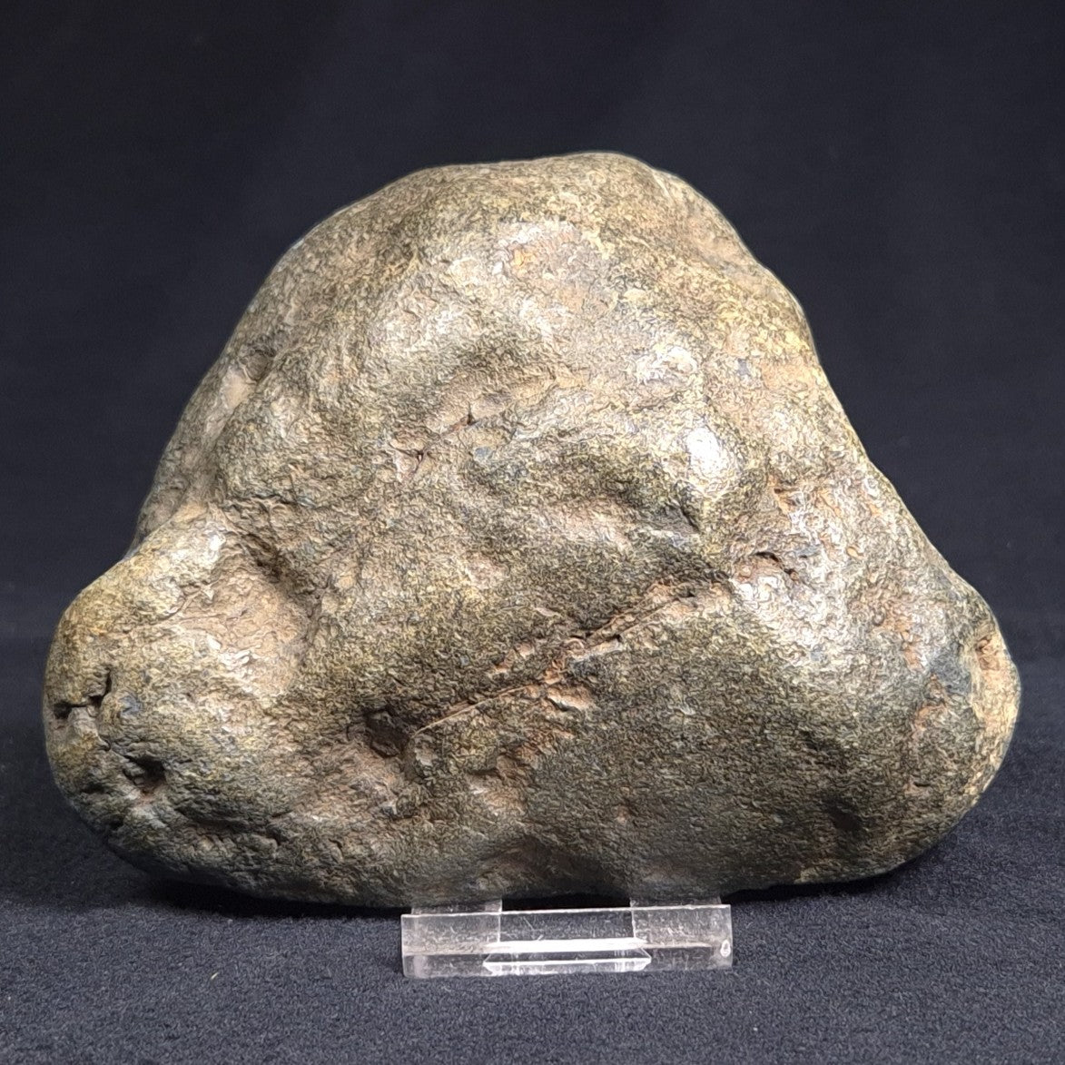 VIVIANITE NODULE, Australia XVI004