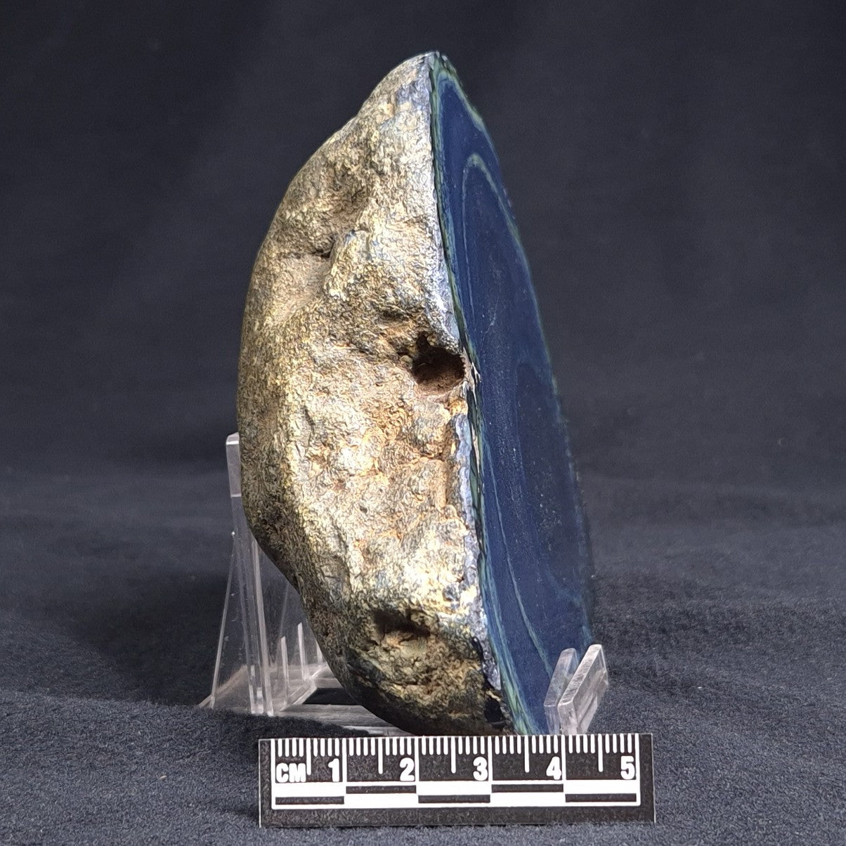 VIVIANITE NODULE, Australia XVI004