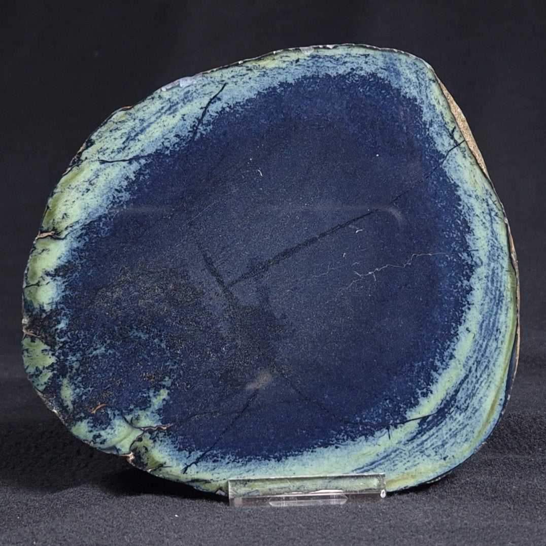 VIVIANITE NODULE, Australia XVI005
