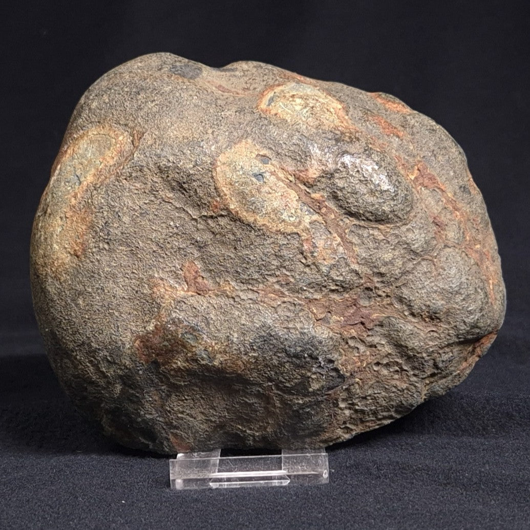 VIVIANITE NODULE, Australia XVI005