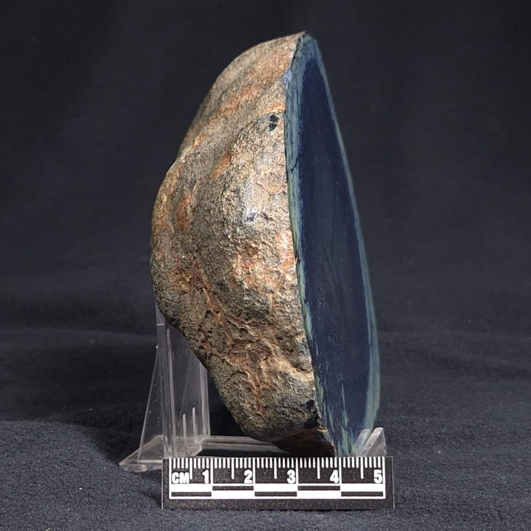 VIVIANITE NODULE, Australia XVI005