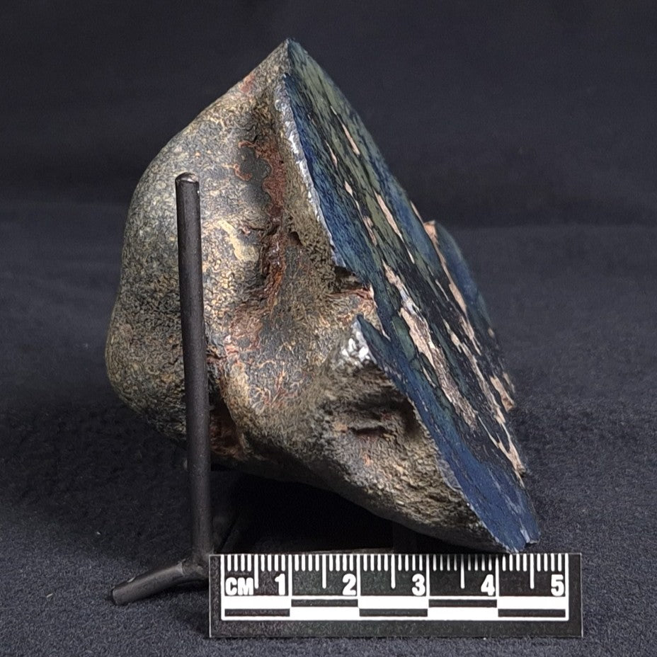 VIVIANITE NODULE, Australia XVI001