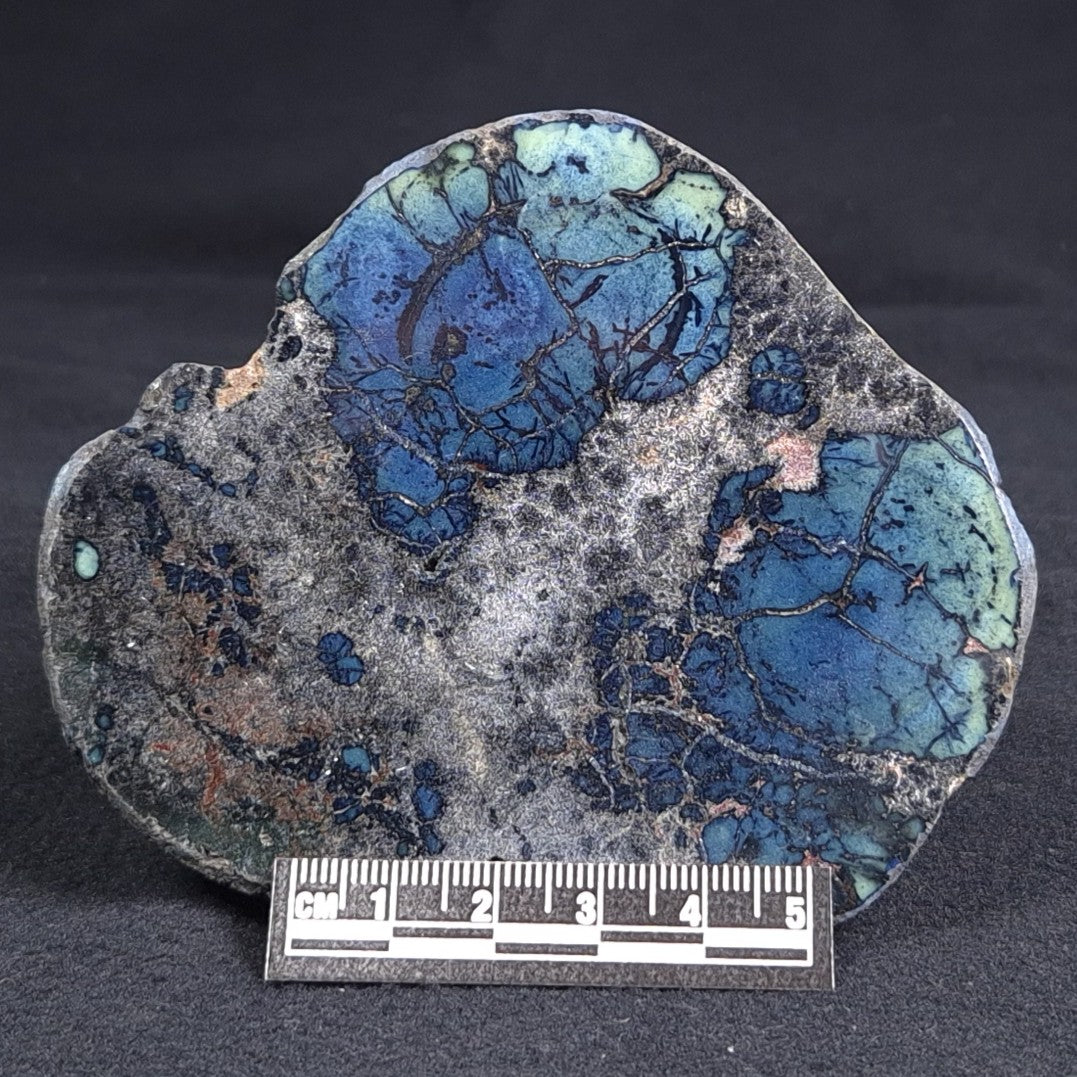 VIVIANITE NODULE, Australia XVI006