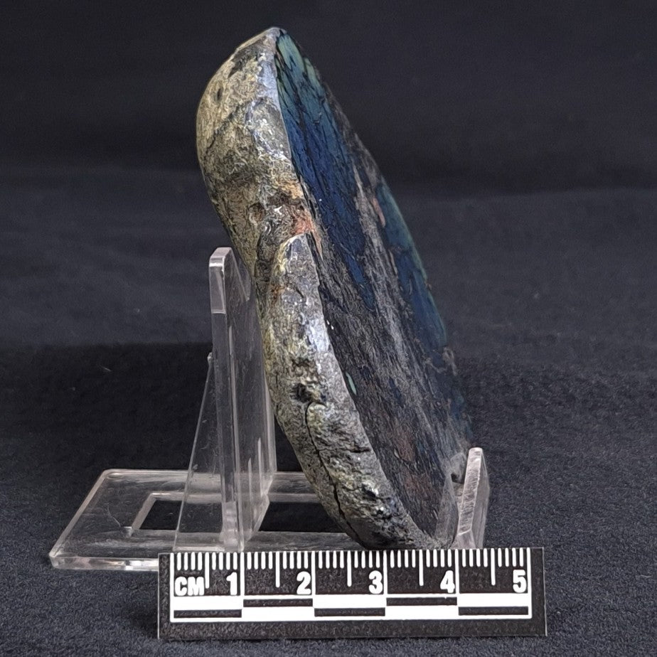 VIVIANITE NODULE, Australia XVI006