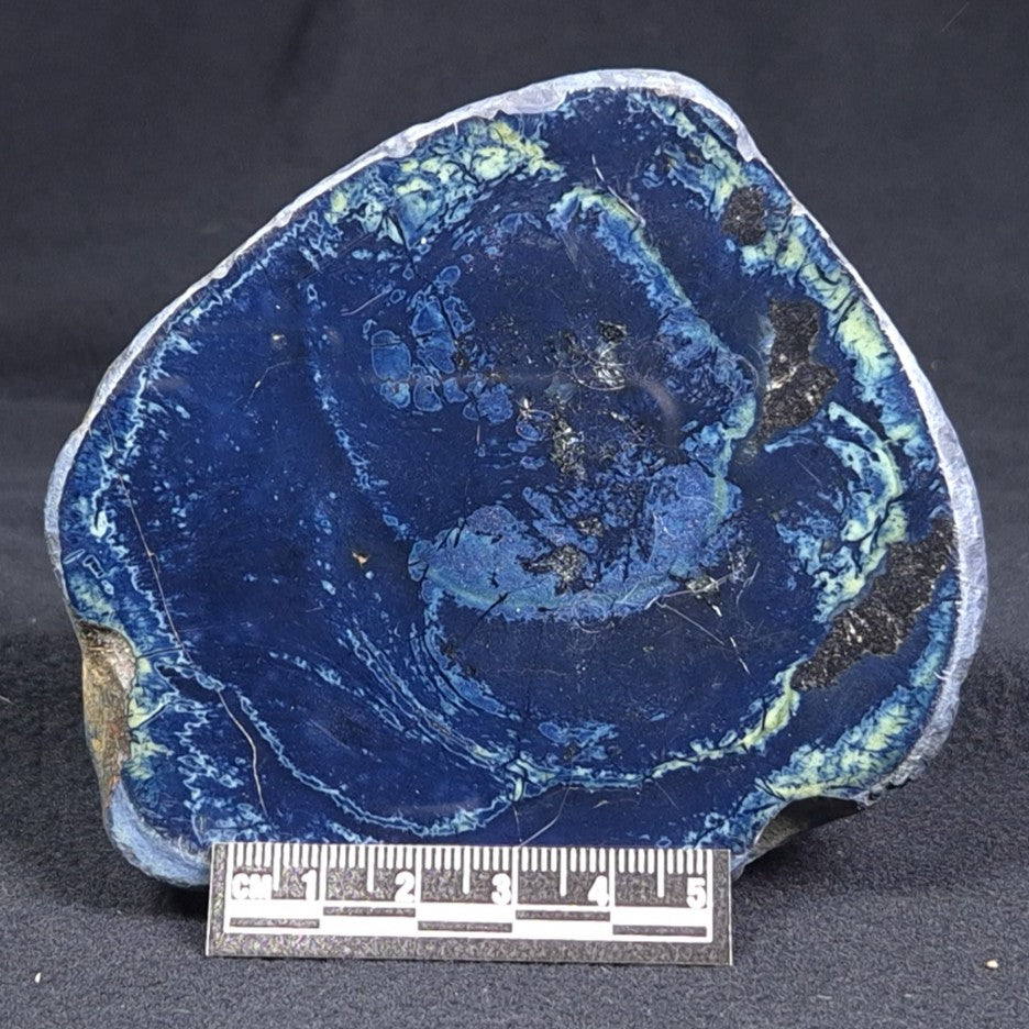 VIVIANITE NODULE, Australia XVI007