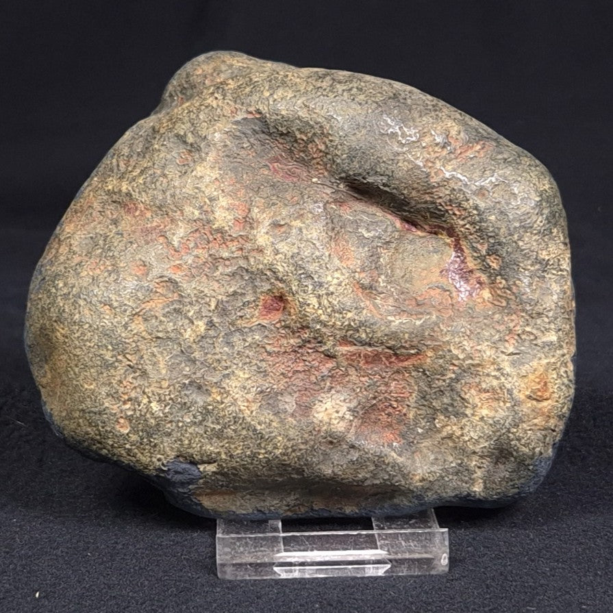 VIVIANITE NODULE, Australia XVI007