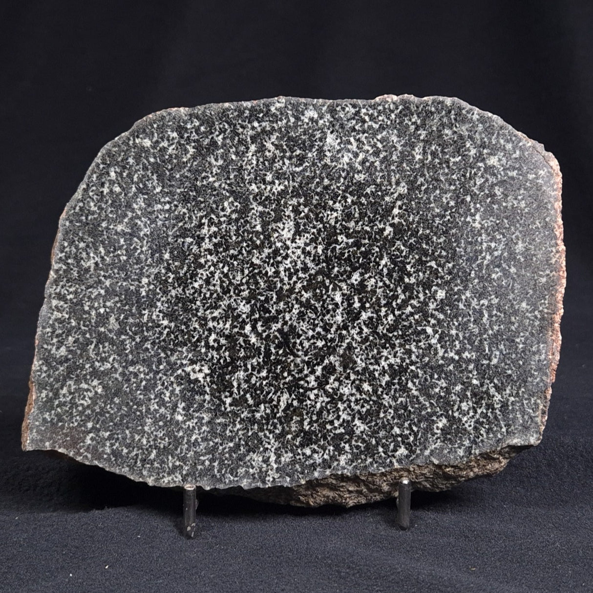 TRANQUILLITYITE, Australia ZTQ007