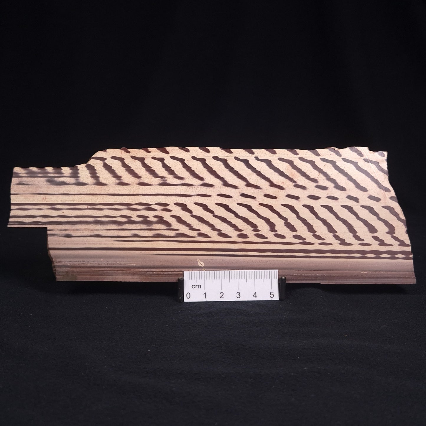 ZEBRA STONE, Australia ZZS001