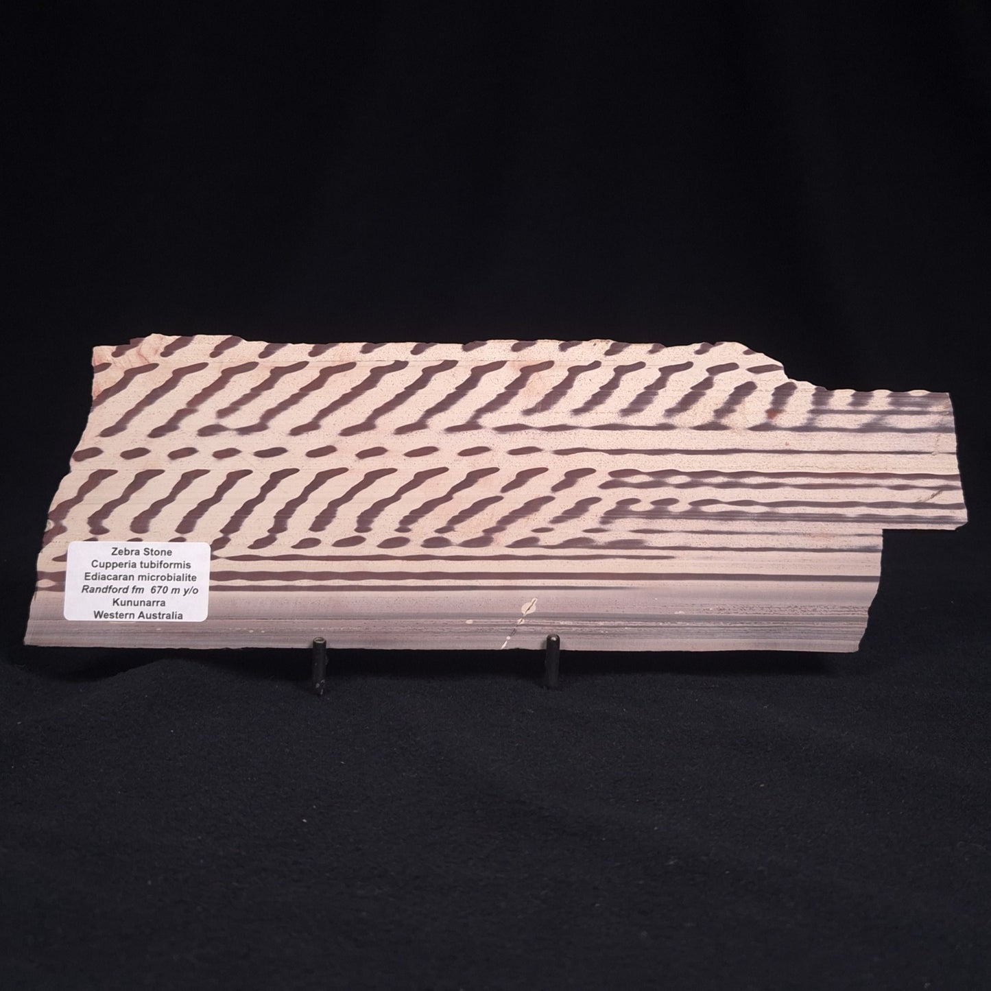 ZEBRA STONE, Australia ZZS001