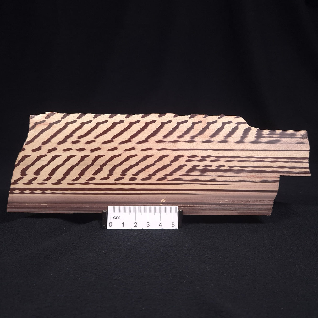 ZEBRA STONE, Australia ZZS003