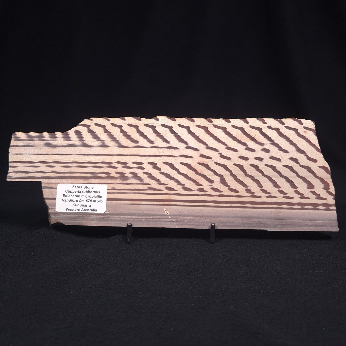 ZEBRA STONE, Australia ZZS003