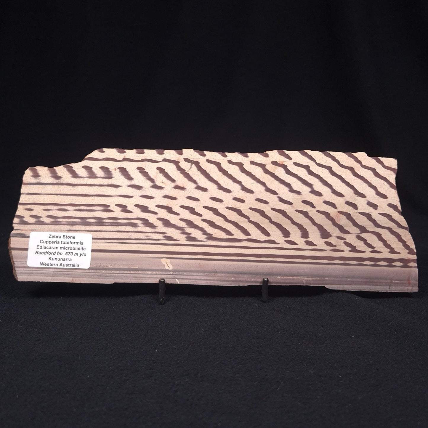 ZEBRA STONE, Australia ZZS005