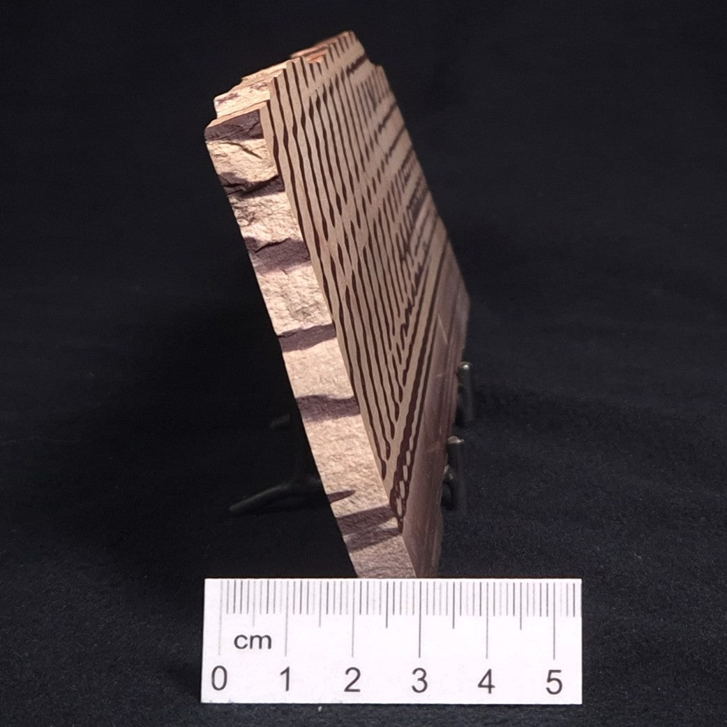 ZEBRA STONE, Australia ZZS005