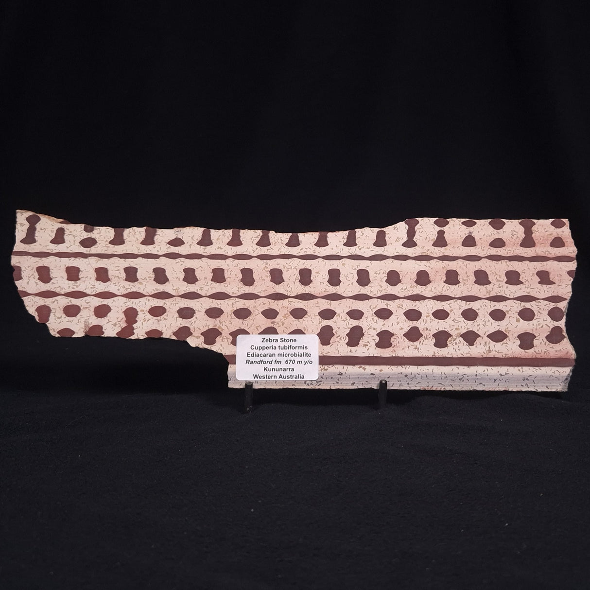 ZEBRA STONE, Australia ZZS006