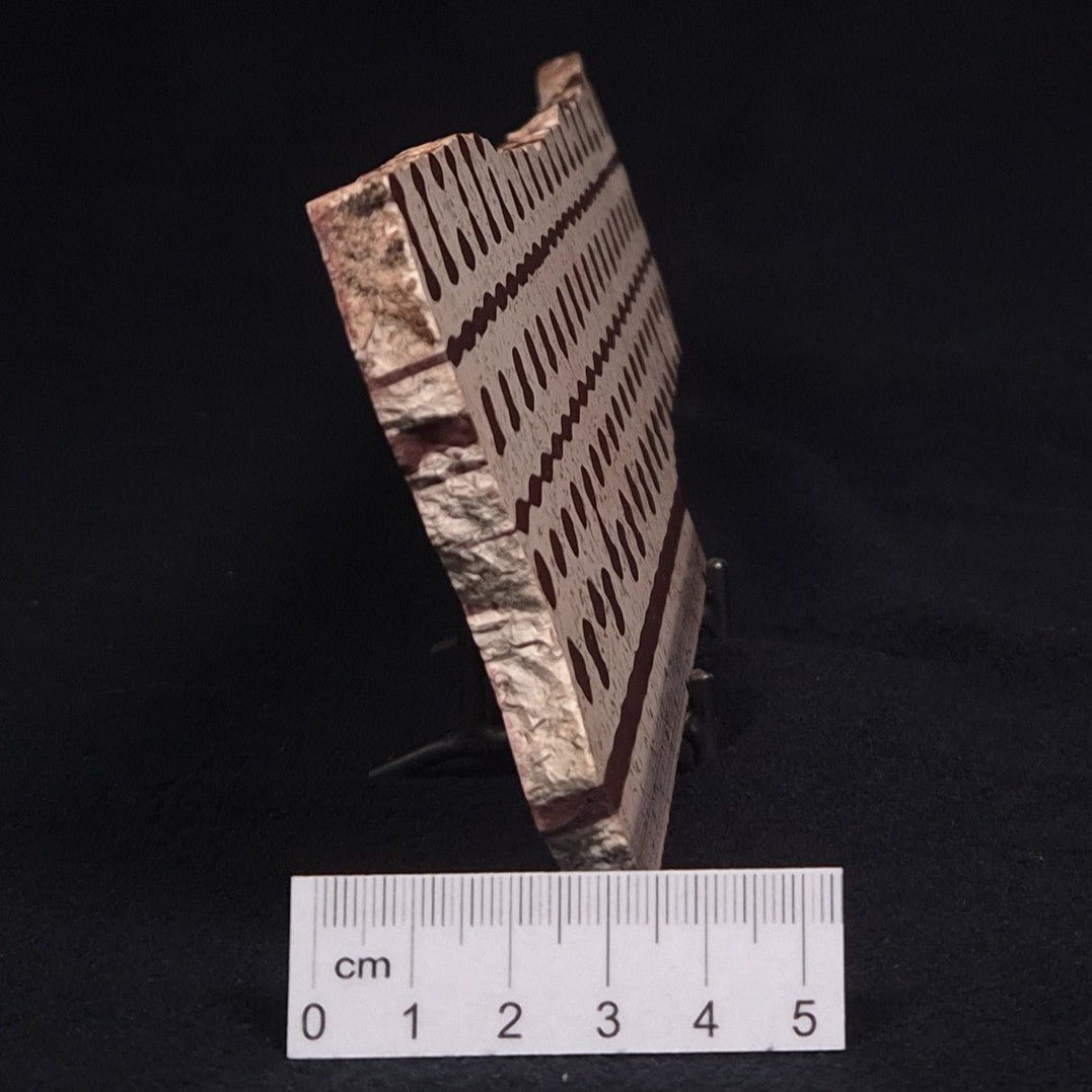 ZEBRA STONE, Australia ZZS006