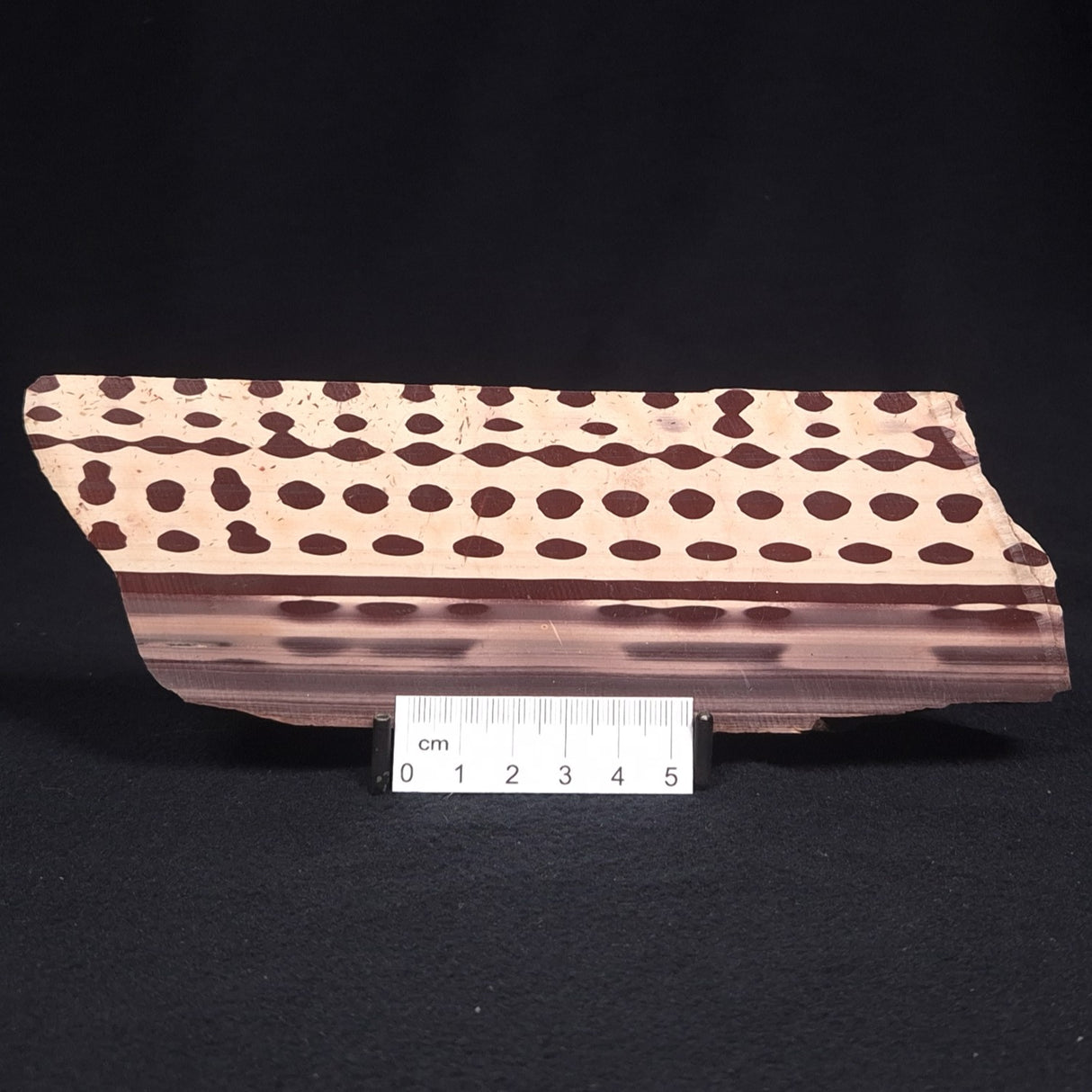 ZEBRA STONE, Australia ZZS007