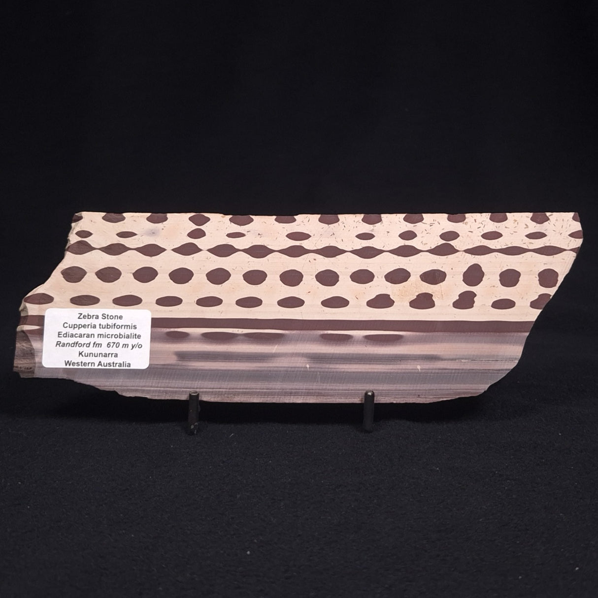 ZEBRA STONE, Australia ZZS007