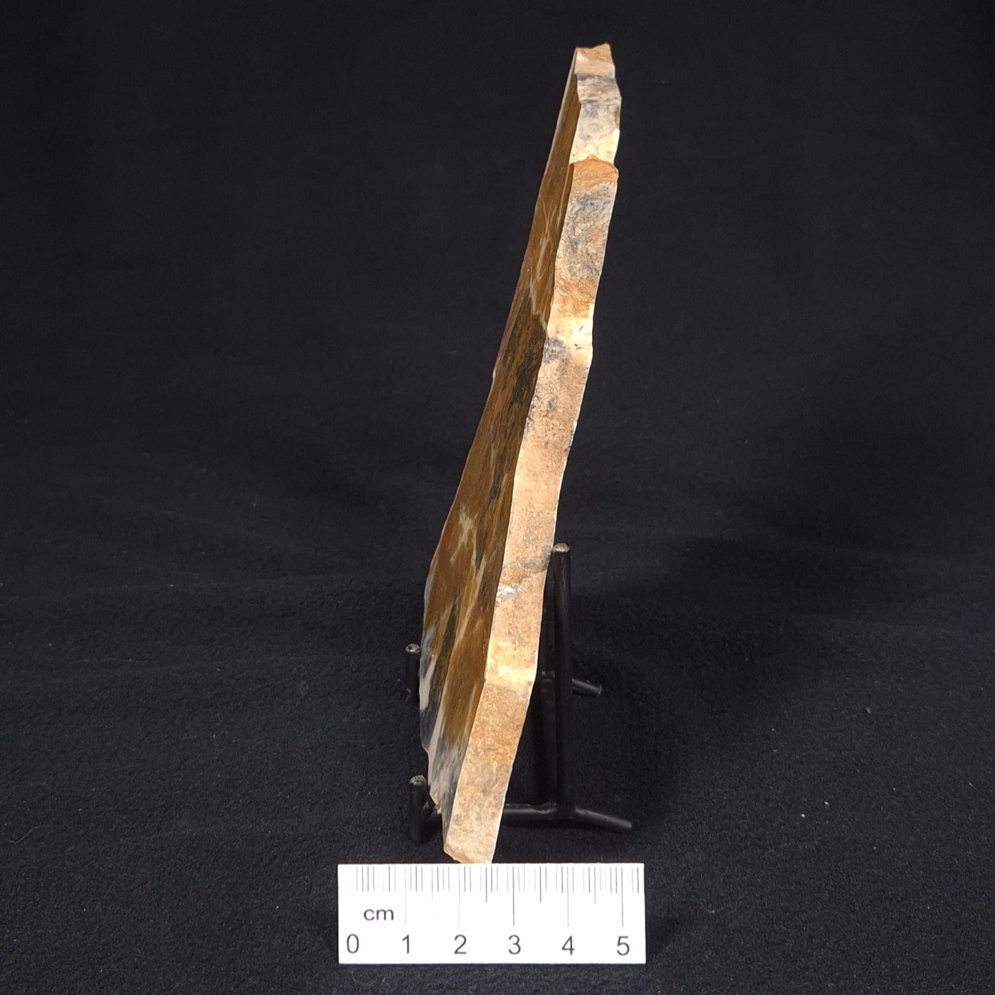 PILBARIA PERPLEXA STROMATOLITE, Australia ZPP004