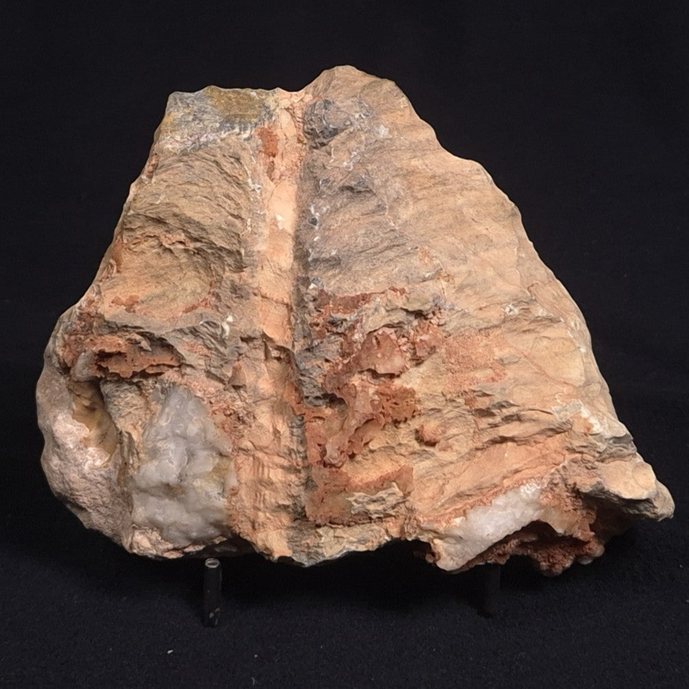 PILBARIA PERPLEXA STROMATOLITE, Australia ZPP006
