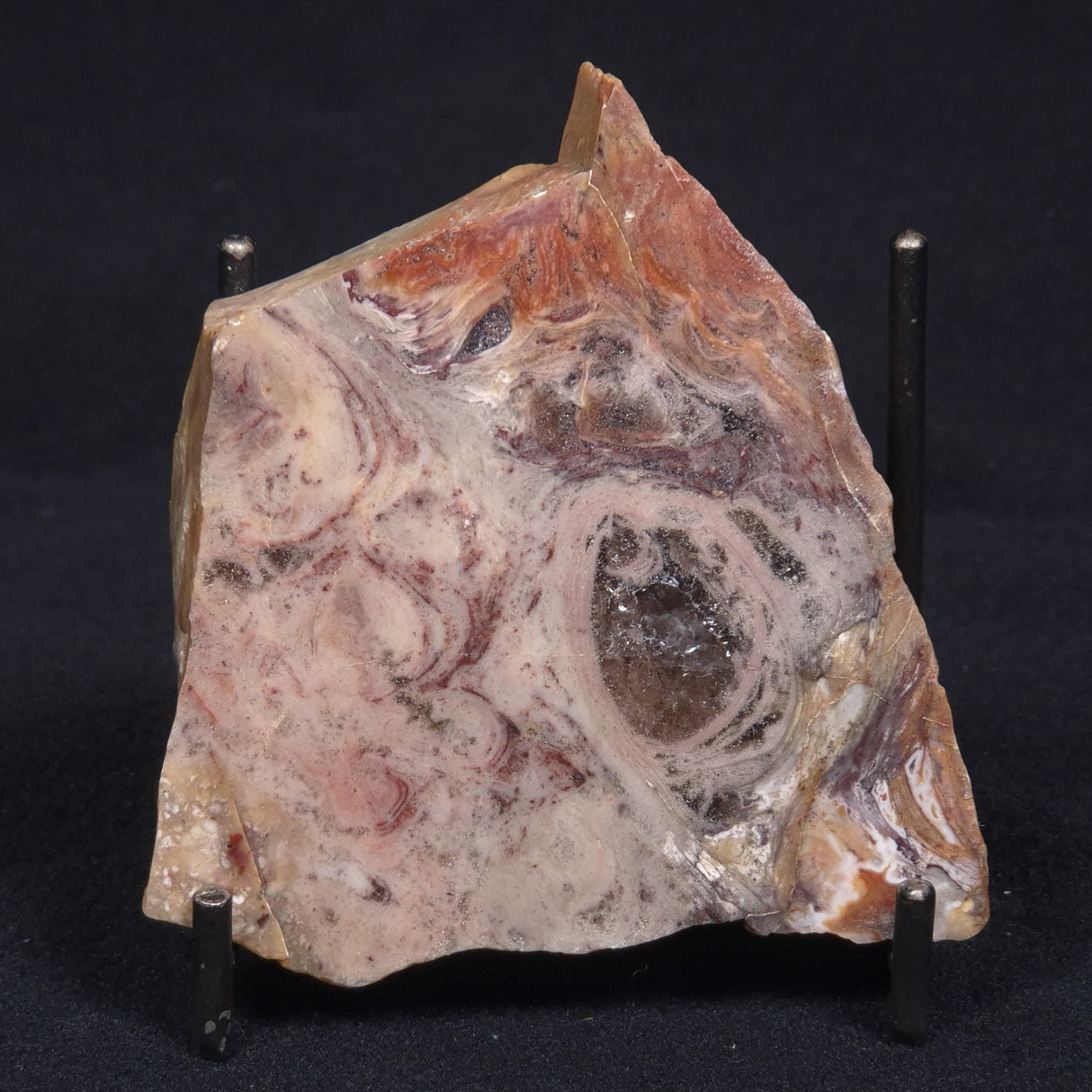 CONOPHYTON BASALTICUM STROMATOLITE, Australia ZCB008