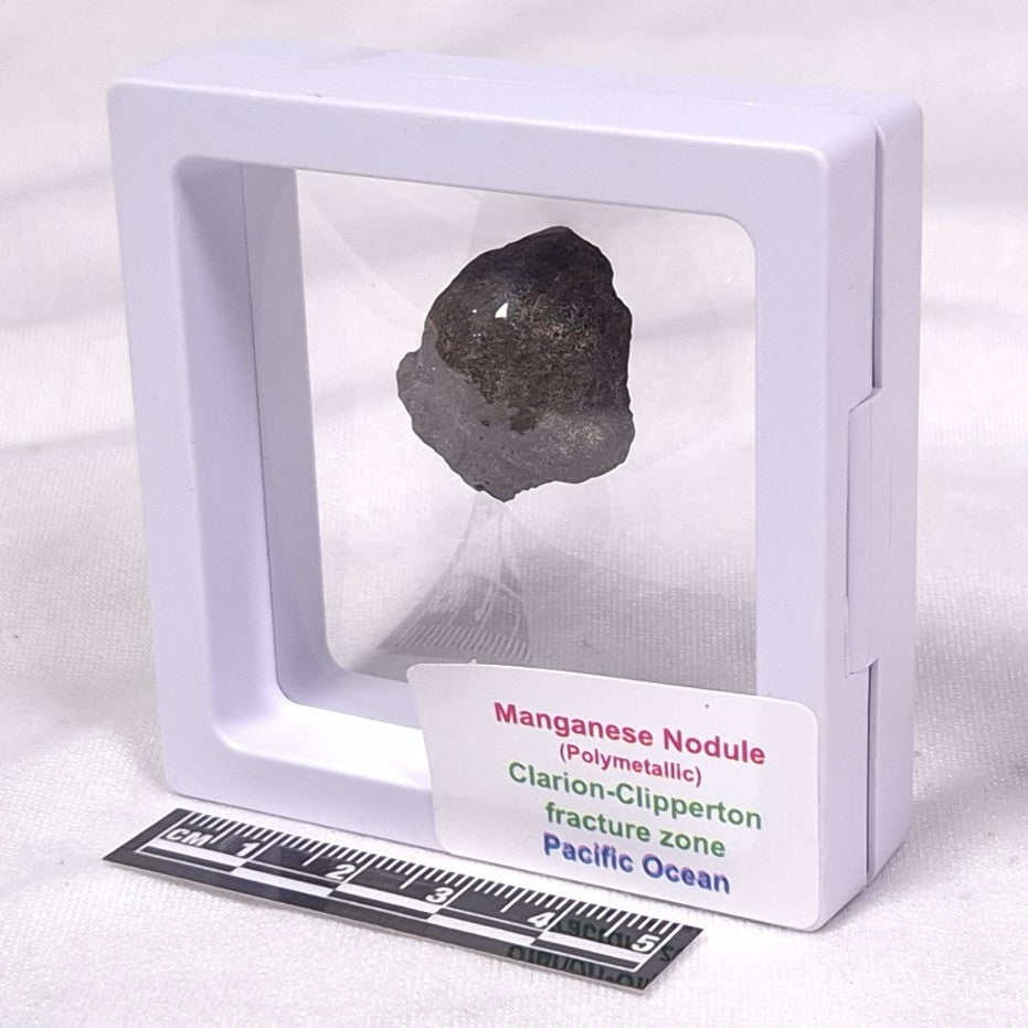 MANGANESE NODULE (POLYMETALLIC), Pacific Ocean XMN003