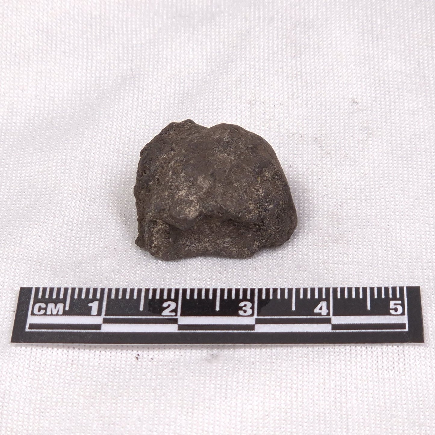 MANGANESE NODULE (POLYMETALLIC), Pacific Ocean XMN003