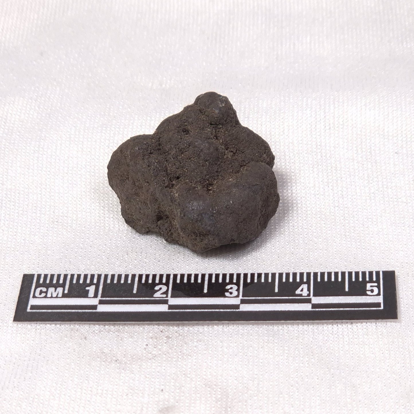 MANGANESE NODULE (POLYMETALLIC), Pacific Ocean XMN004