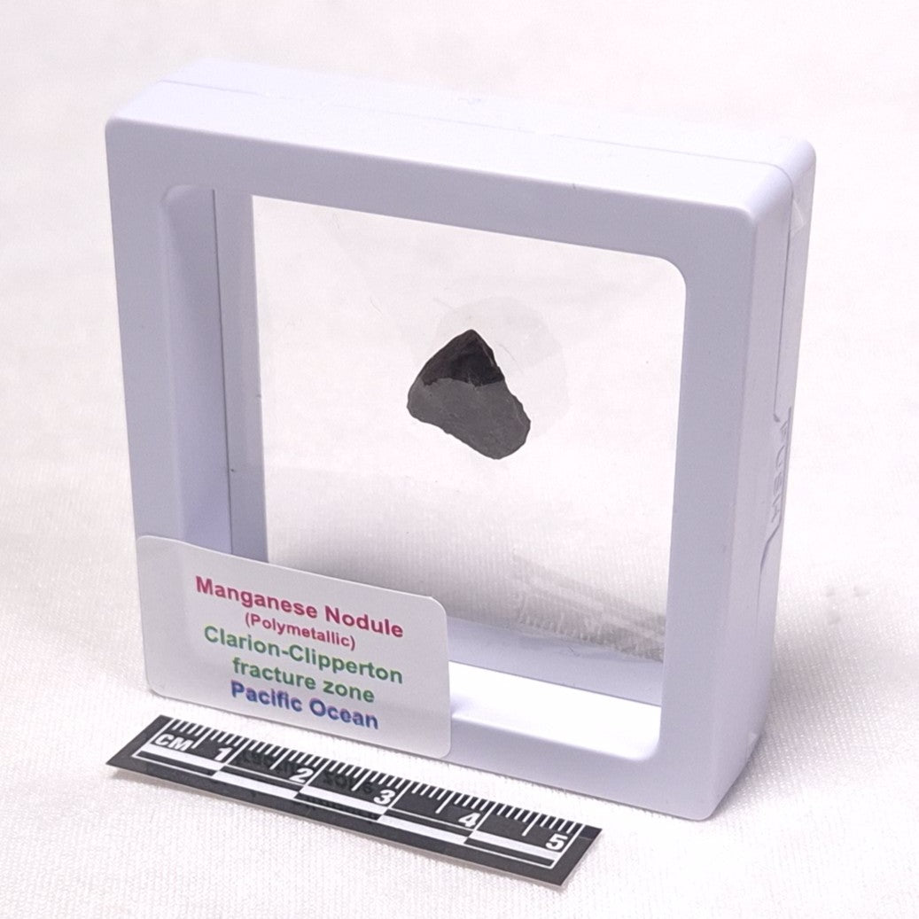MANGANESE NODULE (POLYMETALLIC), Pacific Ocean XMN005