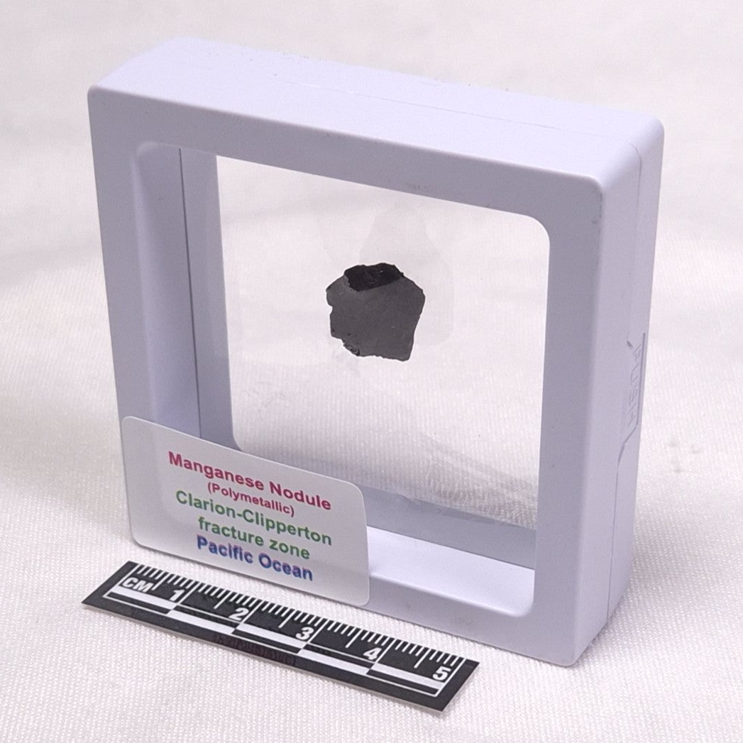 MANGANESE NODULE (POLYMETALLIC), Pacific Ocean XMN006
