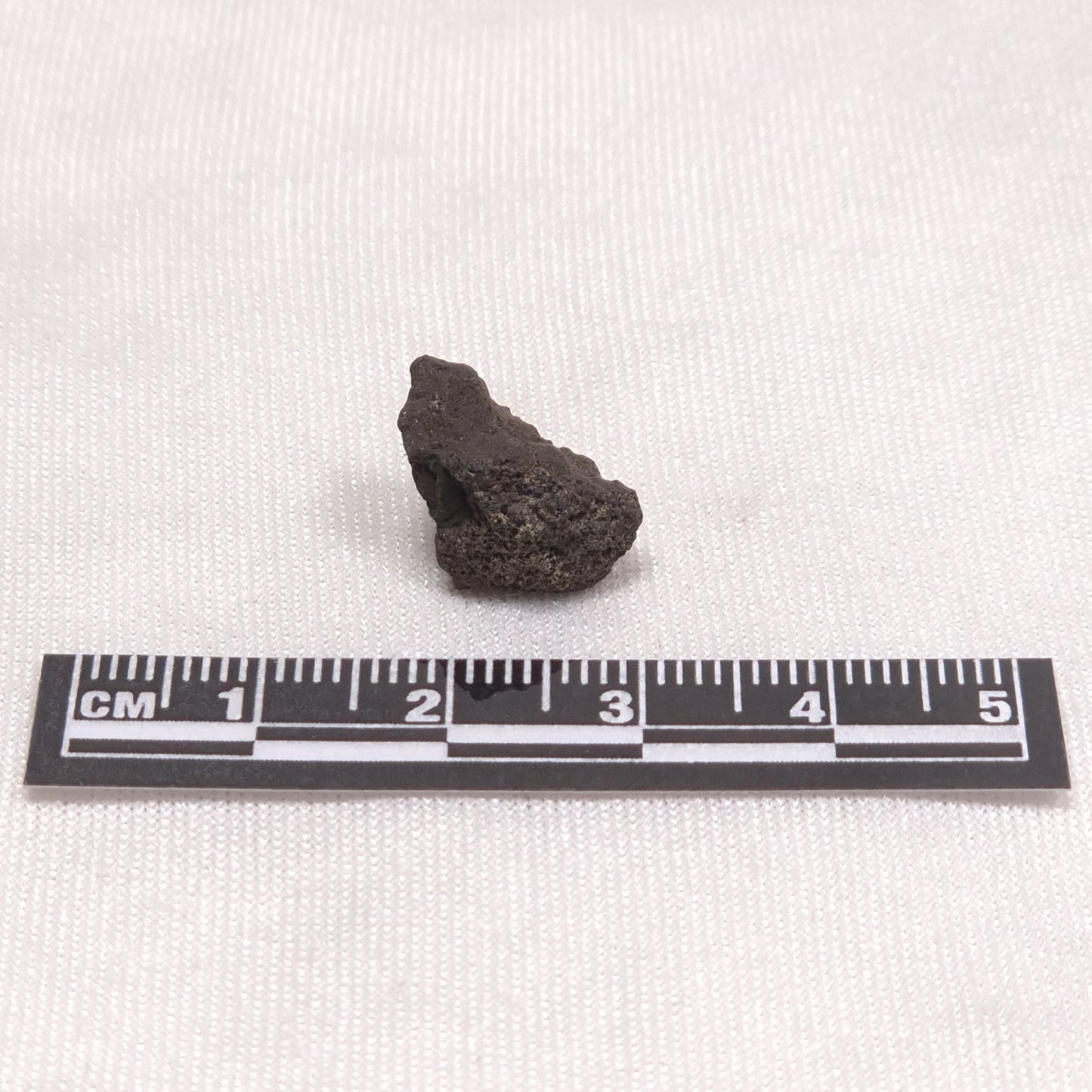 MANGANESE NODULE (POLYMETALLIC), Pacific Ocean XMN006