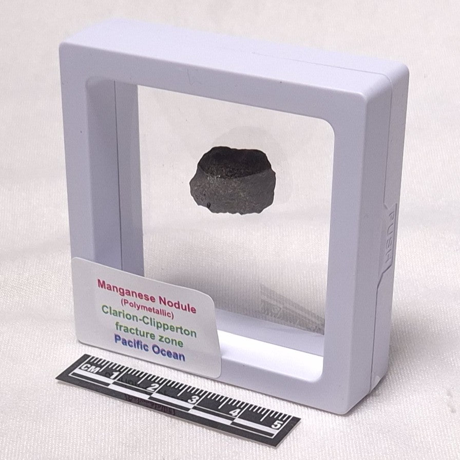 MANGANESE NODULE (POLYMETALLIC), Pacific Ocean XMN007