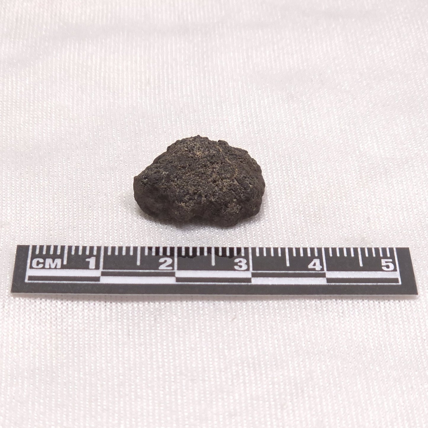 MANGANESE NODULE (POLYMETALLIC), Pacific Ocean XMN007